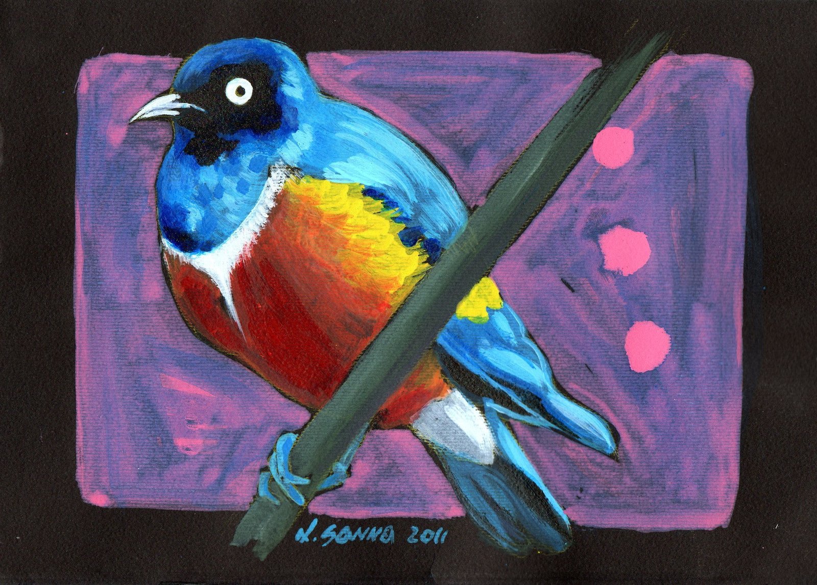 bird-lucasanna