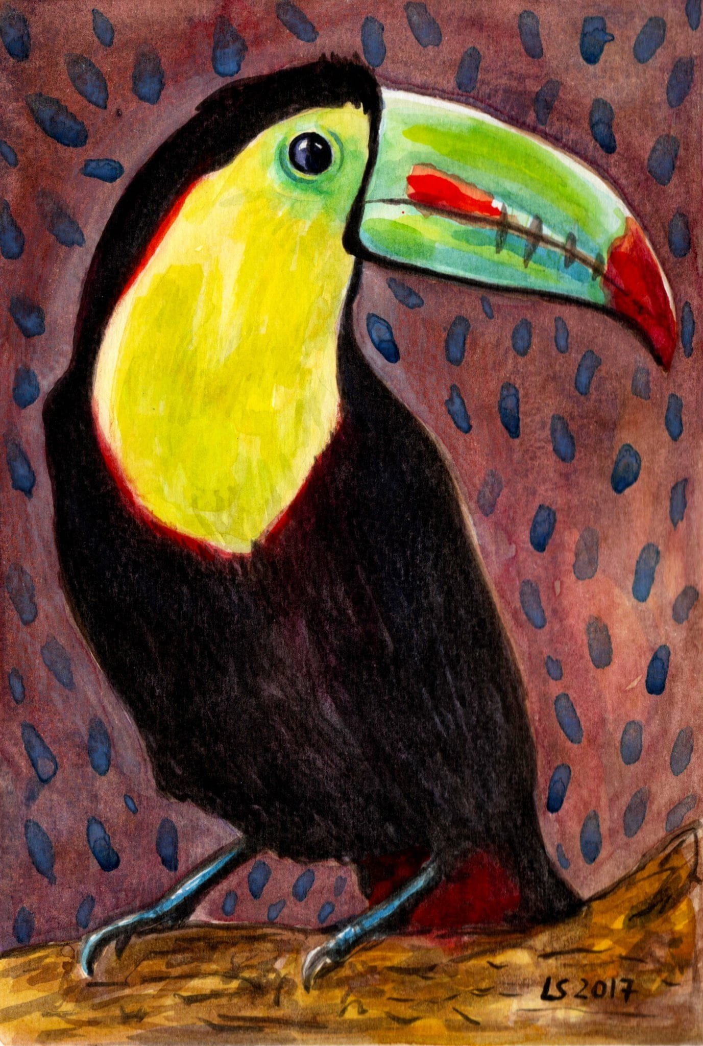 Tucano di Luca Sanna