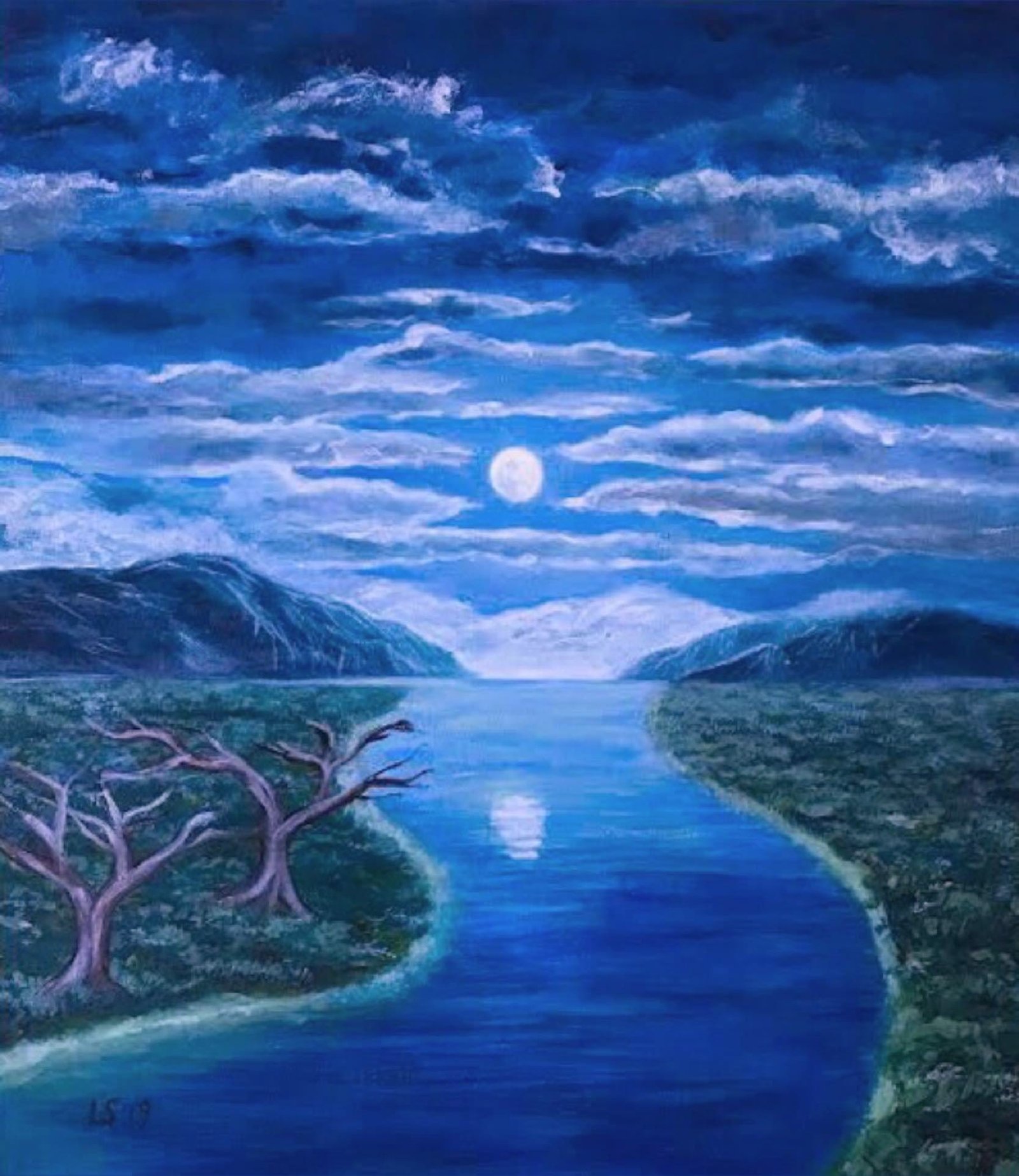 moonlight landscape